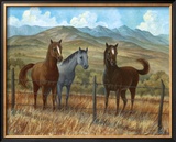 Appaloosa I