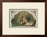 Buy Missy Rabbit at AllPosters.com