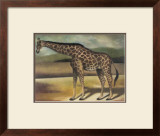 Buy Giraffe at AllPosters.com