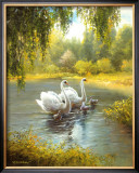Buy Schwane at AllPosters.com
