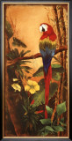 Buy Exotic Birds II at AllPosters.com