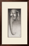 Buy Toni, the Elephant at AllPosters.com