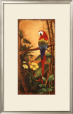 Exotic Birds II