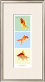 Mr Poisson