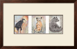 Buy Animalities at AllPosters.com
