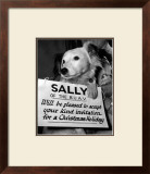 Sally Looks For a Home