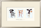 Buy Animal Magic at AllPosters.com