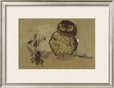 Buy Owl And Bee at AllPosters.com