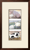 Buy Animalities at AllPosters.com