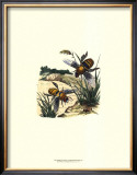 Flight of the Bee I