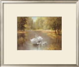 Buy Schwane at AllPosters.com