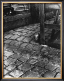 Buy Dans la Cours, 255 Avenue Alesia, c.1947 at AllPosters.com