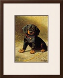 Buy Puppy at AllPosters.com