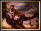 Leopard in Tree