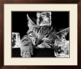 Buy Kool Kat II at AllPosters.com