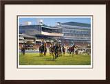 York Races