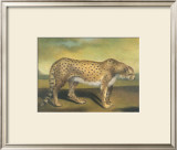 Buy Cheetah at AllPosters.com