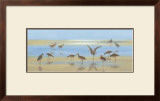 Low Tide I