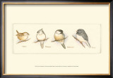 Buy Life of a Songbird III at AllPosters.com