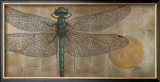 Dragonfly on Silver