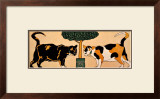 Two Cats