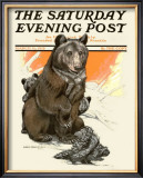 Porcupine Scares the Bears