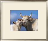 Buy With Love at AllPosters.com