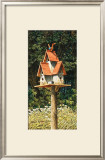 Buy Birdhouse II at AllPosters.com