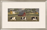 Cows