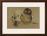 Buy Owl And Bee at AllPosters.com