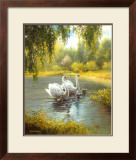 Buy Schwane at AllPosters.com