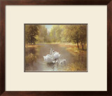 Buy Schwane at AllPosters.com