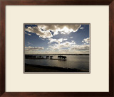 Buy Elephant Herd, Botswana at AllPosters.com