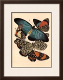 Buy Butterflies I at AllPosters.com
