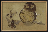 Buy Owl And Bee at AllPosters.com
