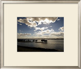 Buy Elephant Herd, Botswana at AllPosters.com