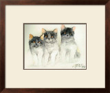 Buy Katzen at AllPosters.com