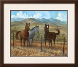 Appaloosa I