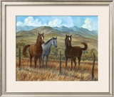 Appaloosa I