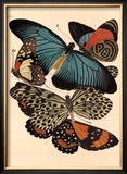Buy Butterflies I at AllPosters.com