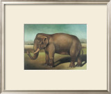 Buy Elephant at AllPosters.com