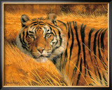 Buy Savannah Alert at AllPosters.com