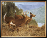 Buy Running Deer at AllPosters.com