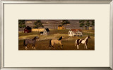 Horses