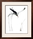 Buy Perched Bird at AllPosters.com