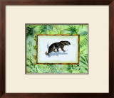 Jungle Jaguar