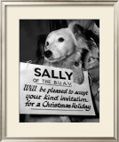 Sally Looks For a Home