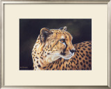 Buy Cheetah at AllPosters.com