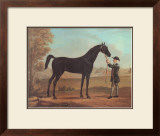 Racehorse Othello