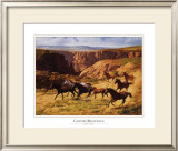 Buy Canyon Mustangs at AllPosters.com